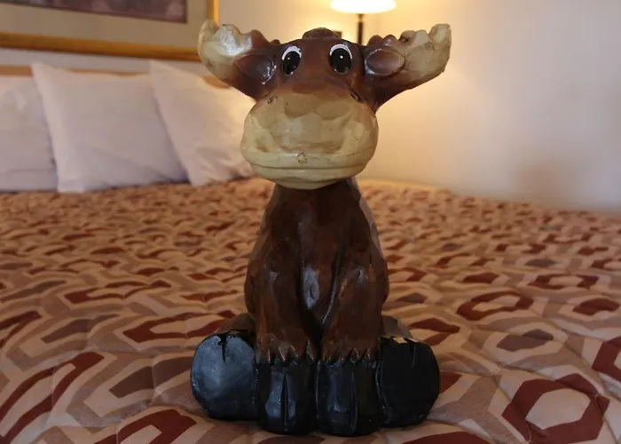 Moose Creek & Hotel Cody